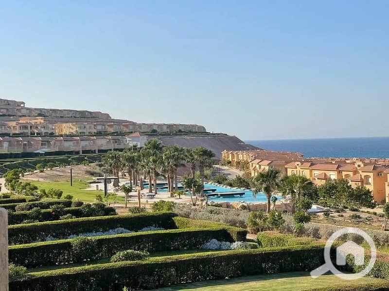 11 582801157_1254922423109936_6669785263945925929_n. jpg