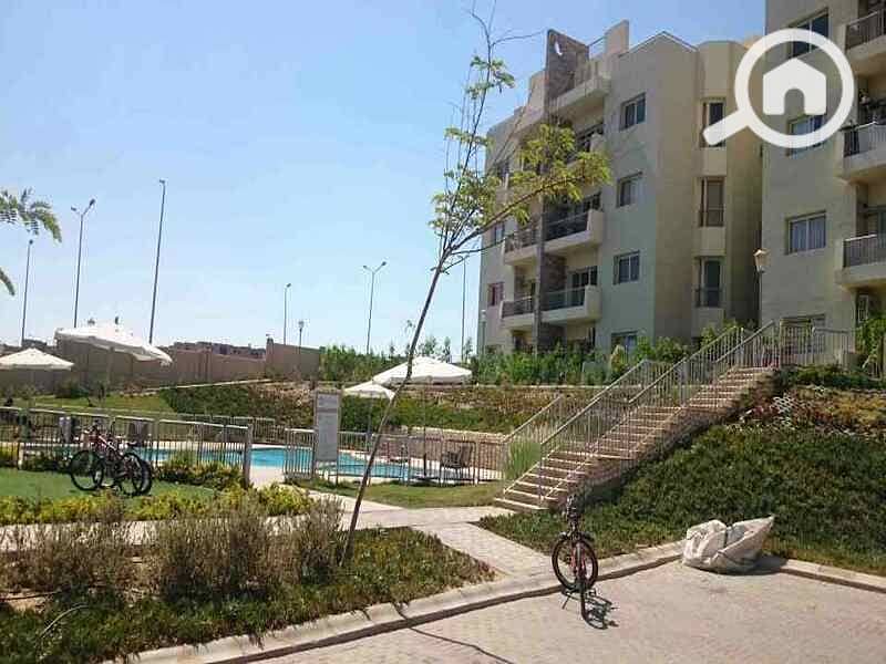 4 DSC_0011_resized_20170424_012955190. jpg