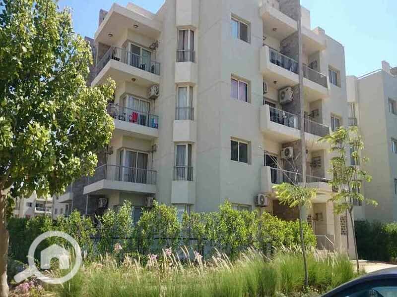 6 DSC_0014_resized_20170424_012951380. jpg