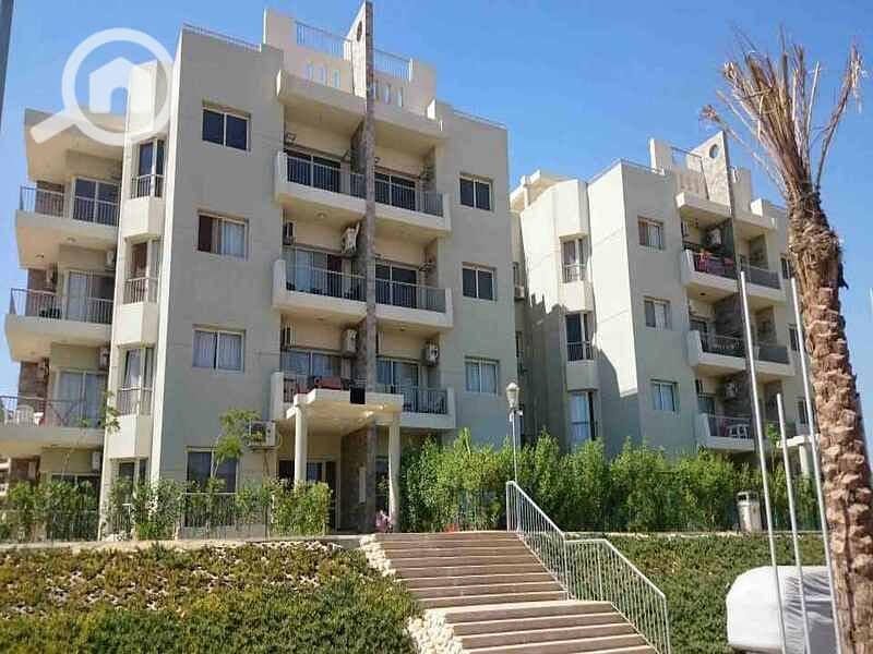 10 DSC_0023_resized_20170424_012957968. jpg