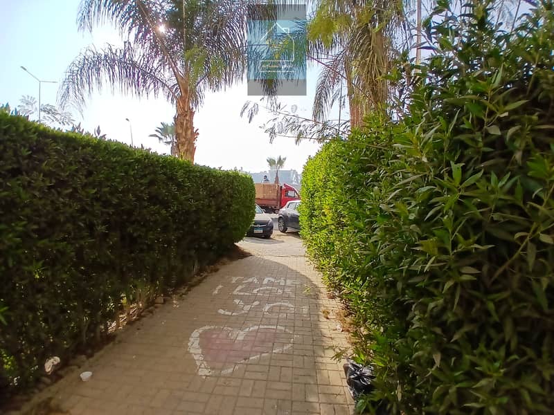 4 ٢٠٢٦٠١٠٦_١٤٢٢٤٧. jpg