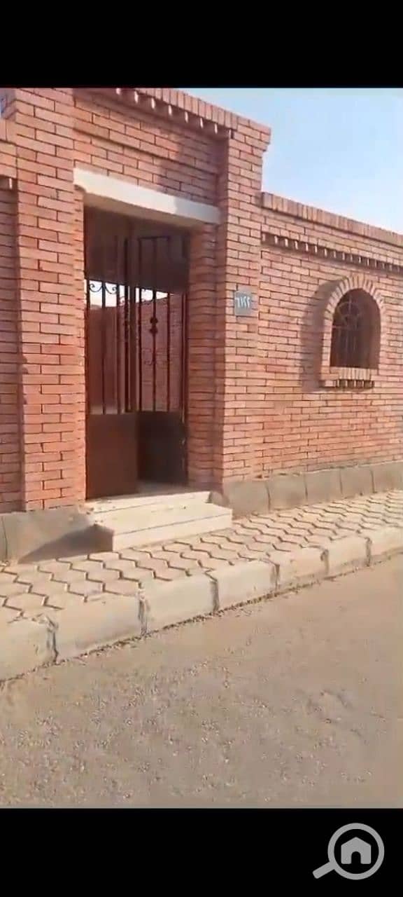 2 photo_2026-01-27_00-25-34. jpg