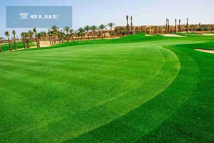 1004361883. jpg 1004361883. jpg