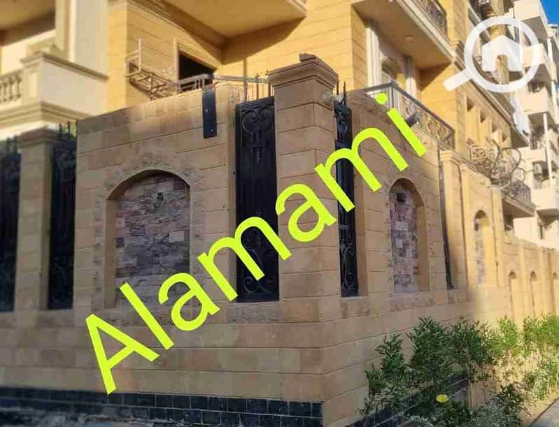 1000113904. jpg 1000113904. jpg