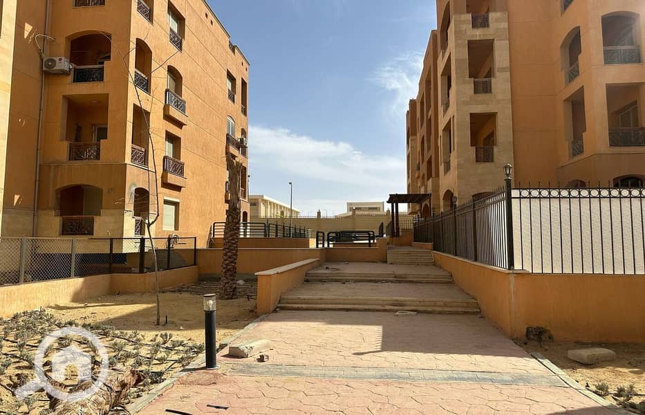 6 WhatsApp Image 2026-01-12 at 4.53. 11 PM. jpeg