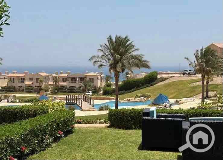 7 9a872eb4-19cb-4c77-8034-9969a9c0e1bd. jpg