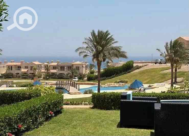 9 9a872eb4-19cb-4c77-8034-9969a9c0e1bd. jpg