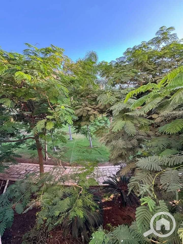 2 WhatsApp Image 2026-01-26 at 4.02. 26 PM (1). jpeg