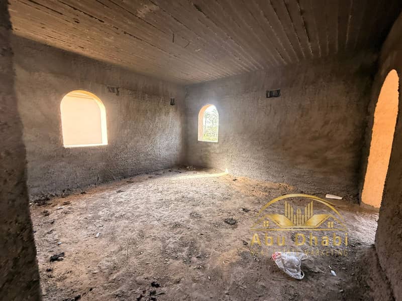 8 82ef687a-fe73-494c-b865-db15273ed334. jpg