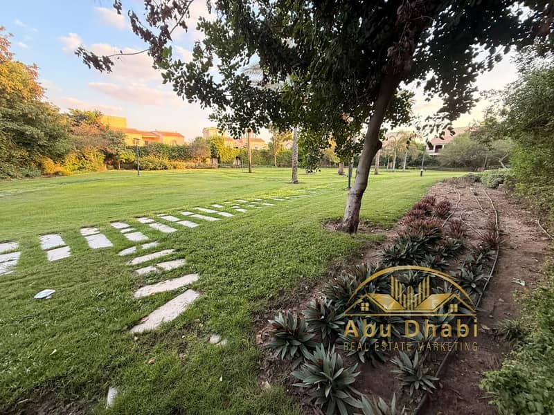 4 497fc823-03bc-47cb-92de-7648d57415d3. jpg