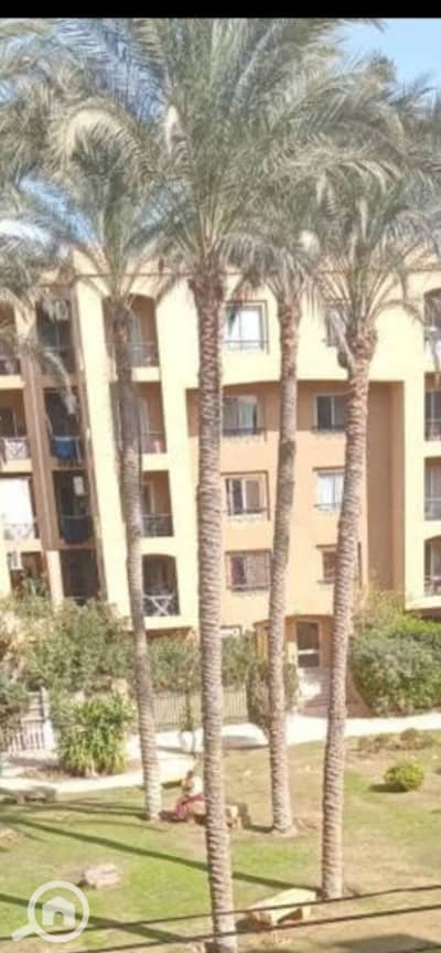 2 Bedroom Flat for Rent in New Cairo, Cairo - IMG_0841. png