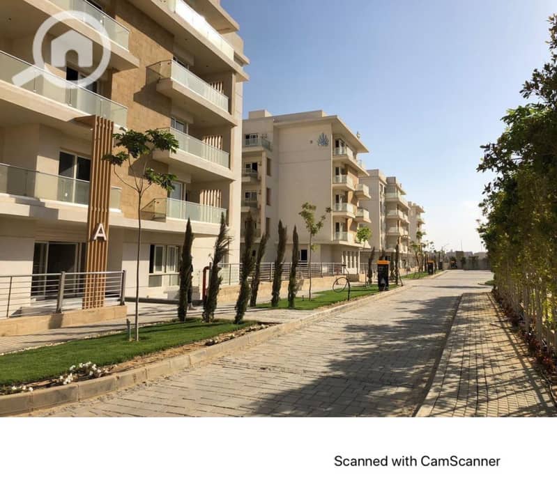 9 i city oct club park live photos-images-5. jpg