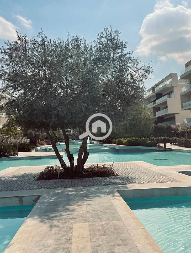 7 526933139_1803142473943086_1819859979377225308_n. jpg