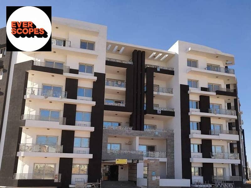 4 WhatsApp Image 2026-01-19 at 16.00. 29 (1). jpeg