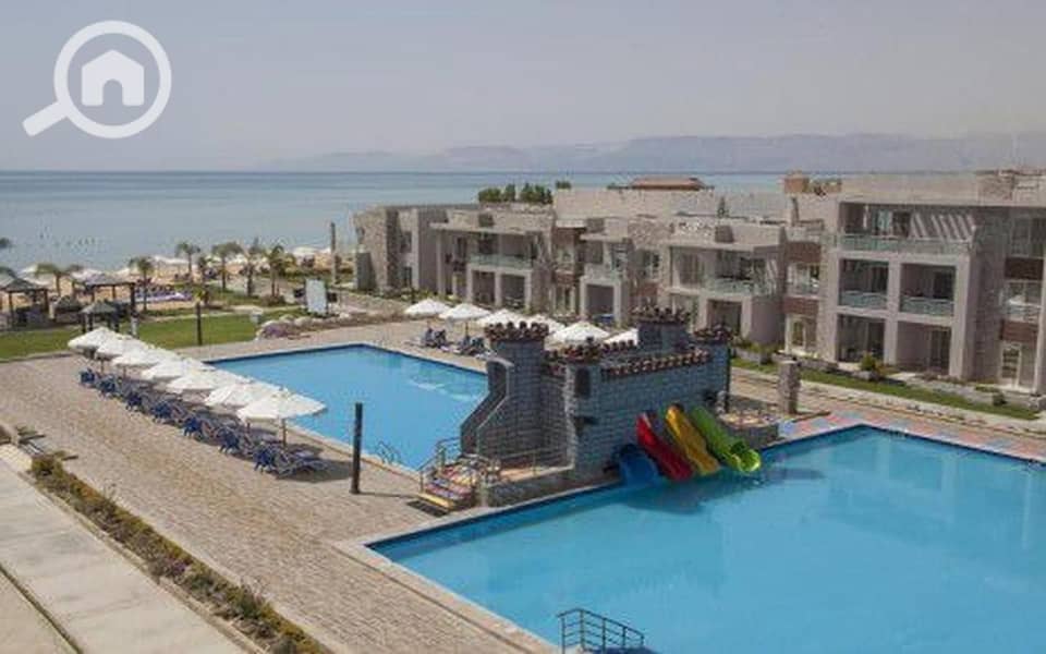 2 9dFu6YY6nzArIgUb. jpg