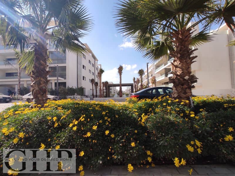 12 WhatsApp Image 2025-12-11 at 16.59. 16_eecf861d. jpg