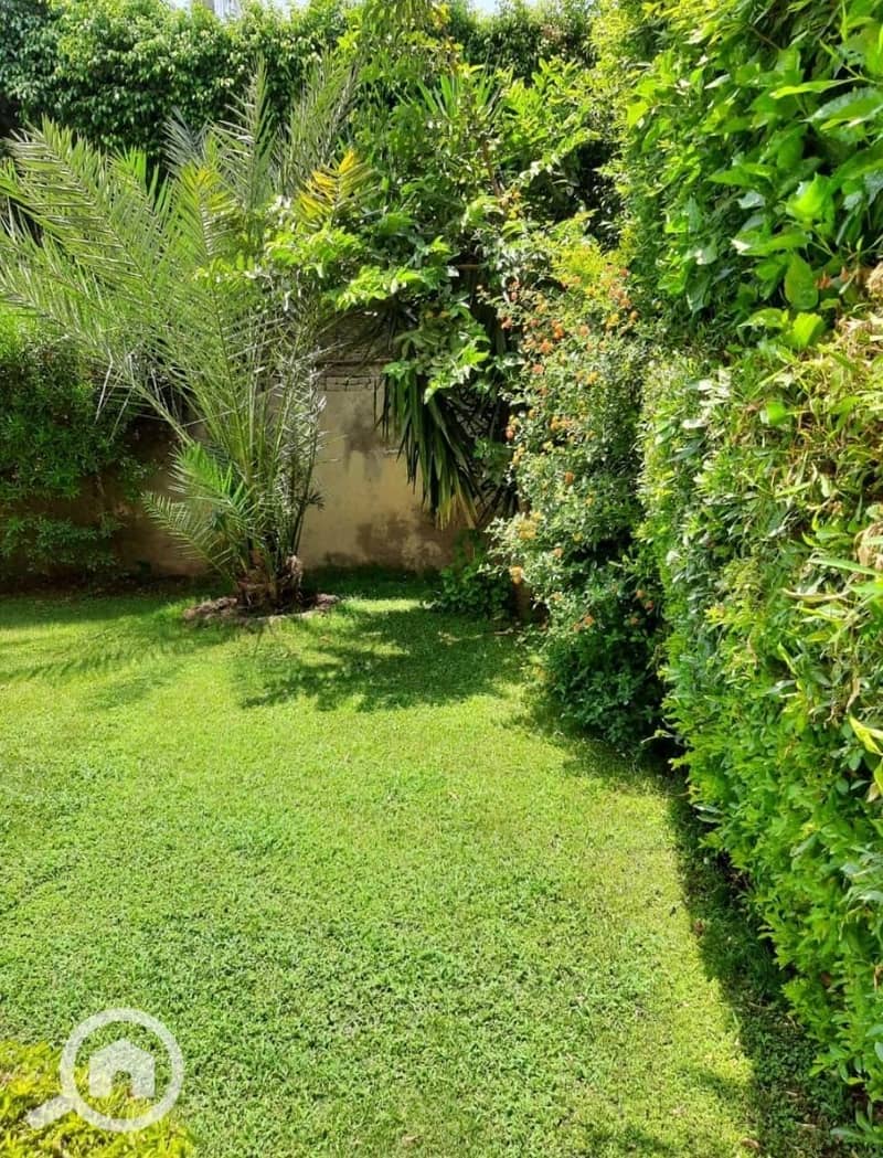 8 f814d549-6abd-4092-b952-c65c94eb8a8c. jpeg