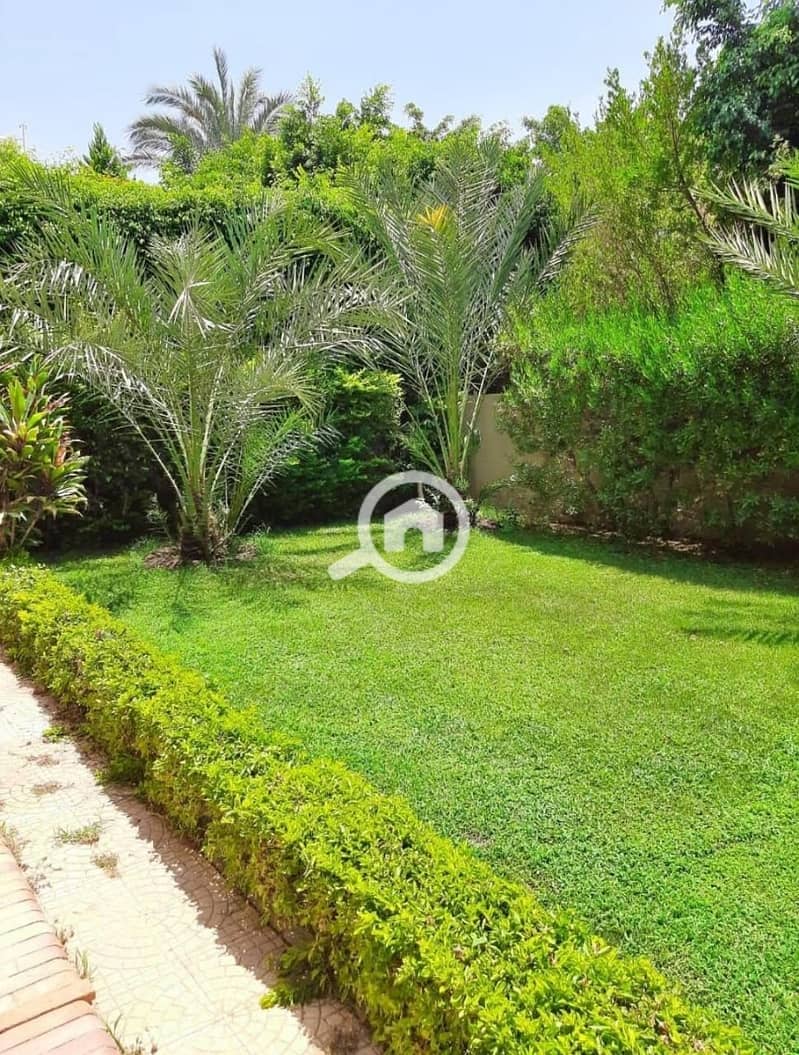 9 9ae4b558-b899-431f-bb0f-11ca60ee909b. jpeg