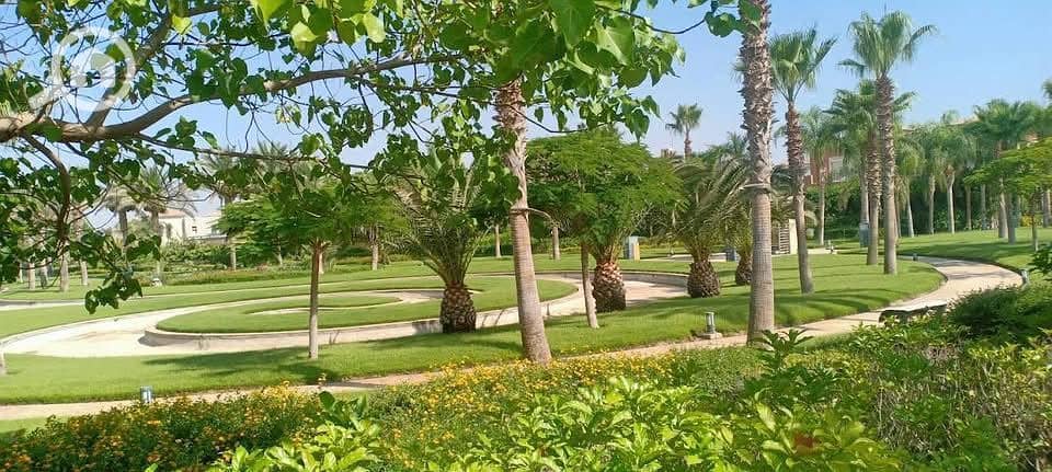 6 WhatsApp Image 2026-01-27 at 11.55. 03 AM (2). jpeg