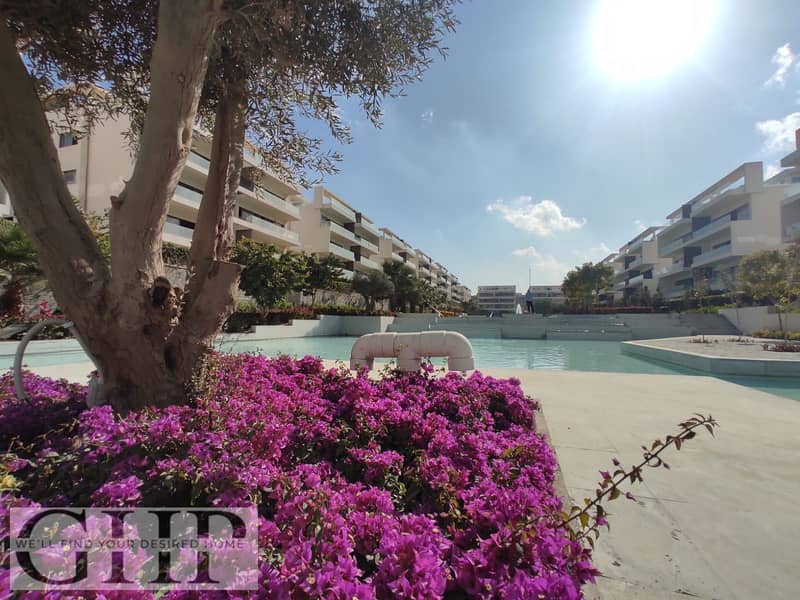 8 WhatsApp Image 2025-12-11 at 16.59. 15_c3c94e41. jpg