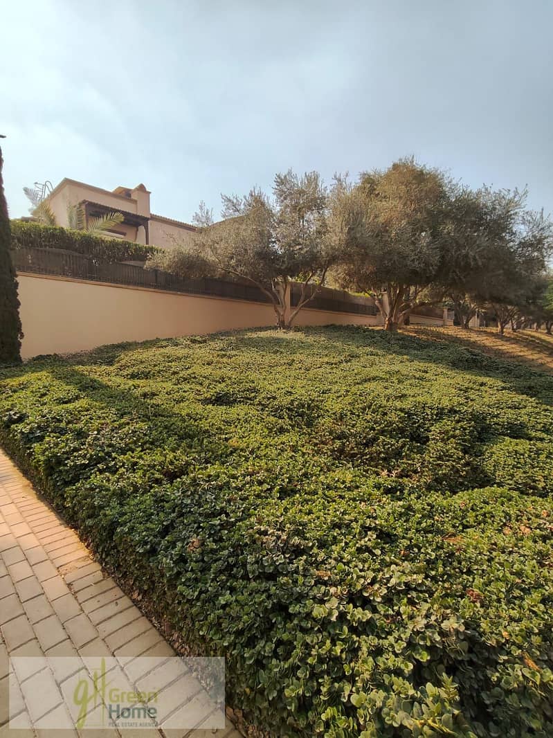 13 5f8cf2ce-0bf9-4e08-89b4-1f166191dd41. jpg