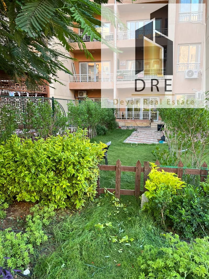 11 a2221957-4085-43cc-a36f-e1903560a562. jpg