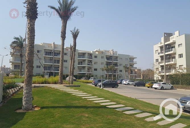 6 236902-5d91bo. jpg