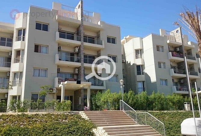 7 236902-532fbo. jpg