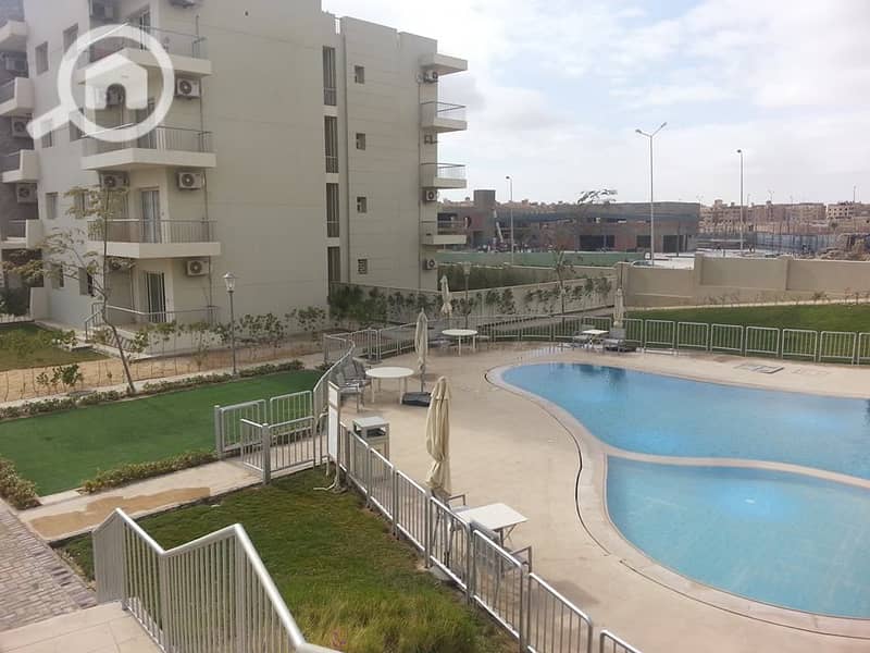 9 12573836_10154010492196454_1052478313866882010_n. jpg