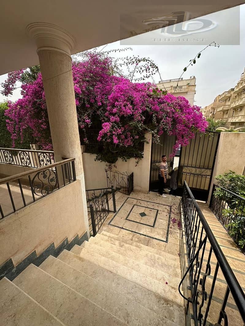 2 88c48784-e6d8-4694-a7c6-076110bf1857. jpeg