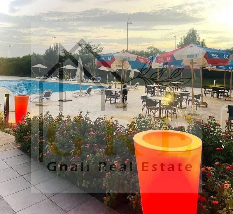 3 619072897_122290891052077159_748947432372593957_n. jpg