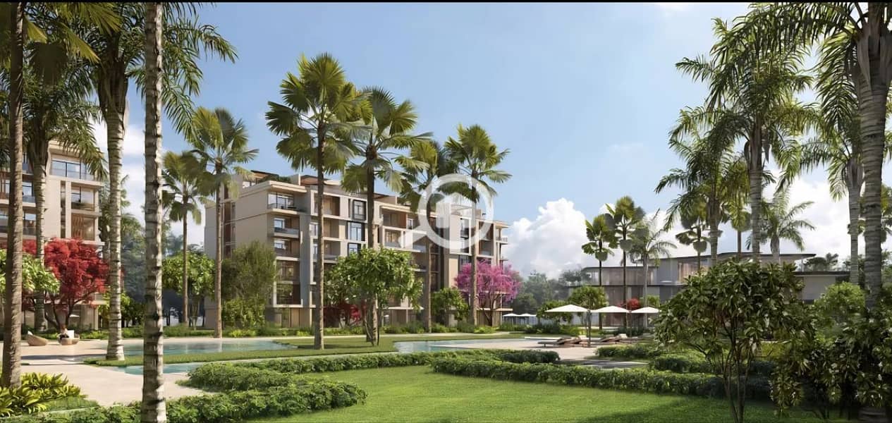 8 photo_11_2026-01-27_11-44-31. jpg