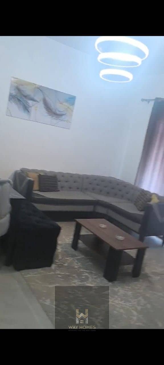 11 WhatsApp Image 2026-01-27 at 12.46. 10. jpeg