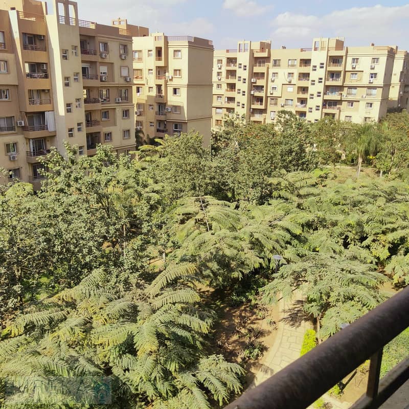 20 PHOTO-2026-01-25-14-31-41. jpg