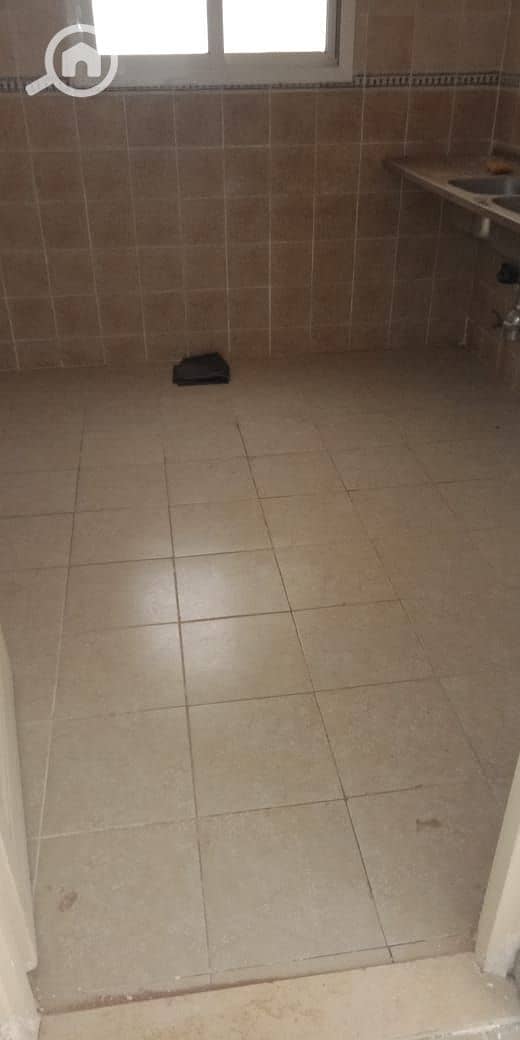 10 320e4d64-8ee8-4538-9cc5-e7e894b37343. jpg