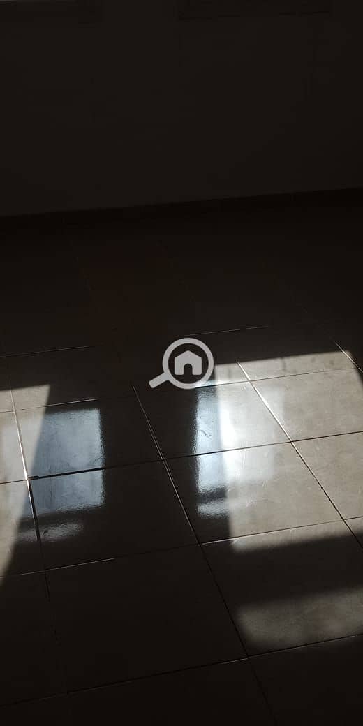 13 16174707-70dc-4dec-9217-d929e74249a0. jpg