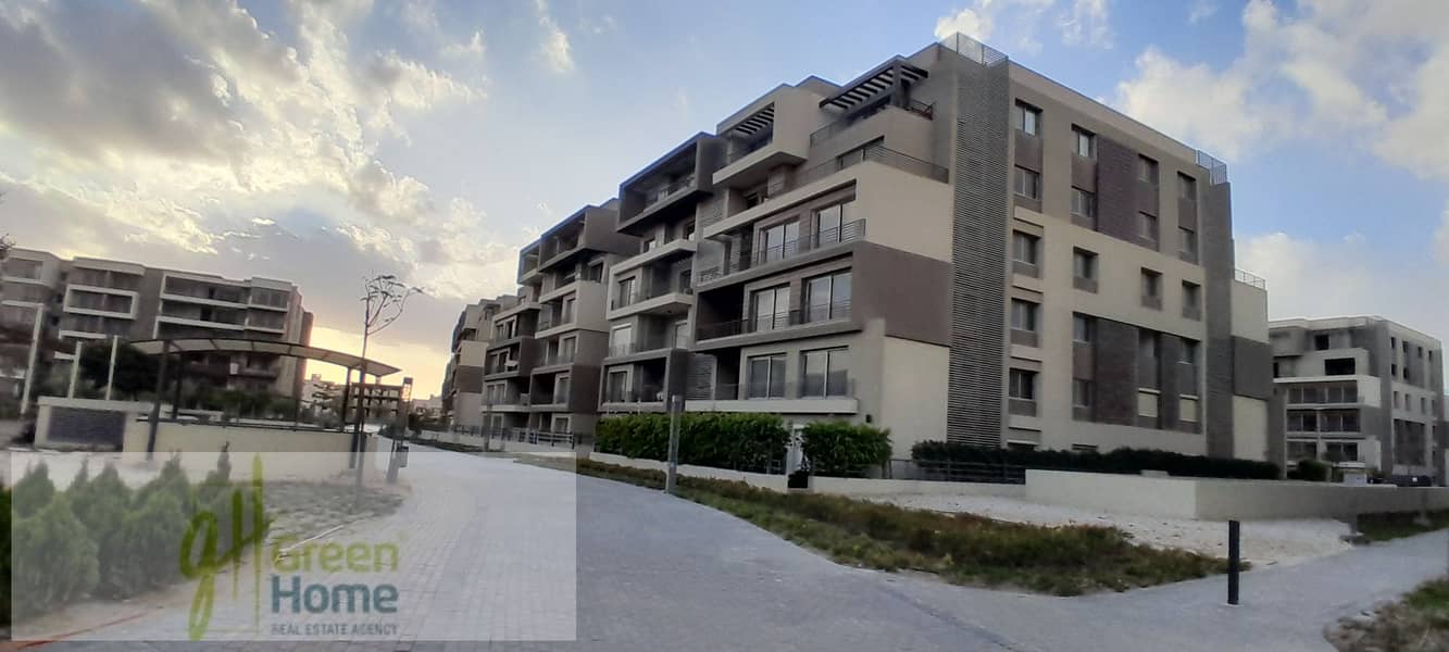 4 20260109_161929. jpg