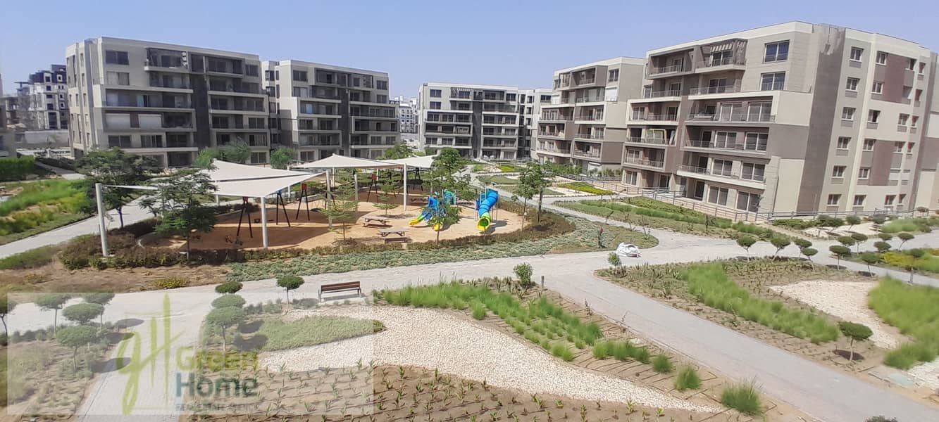 6 20250816_145836. jpg