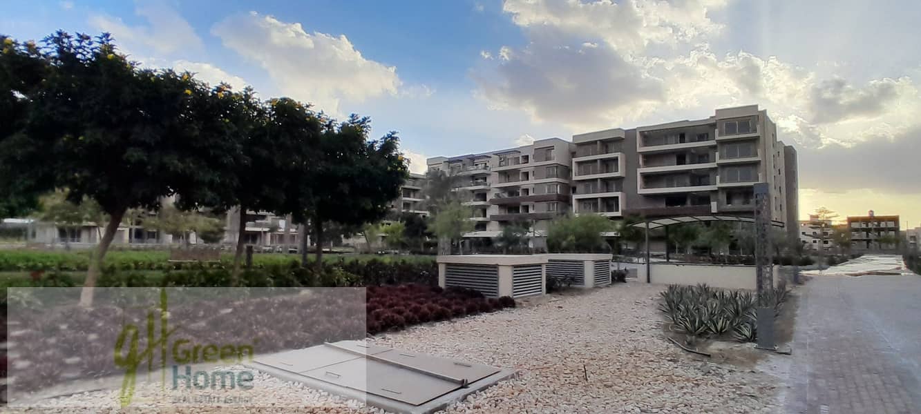 15 20260109_162030. jpg