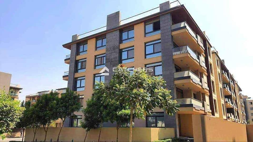 11 457506349_876823787665516_1294973422943559234_n. jpg