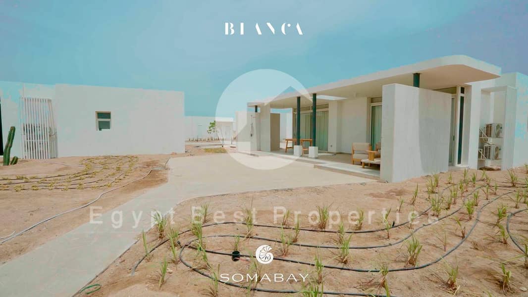 2 IMG-20260119-WA0032. jpg