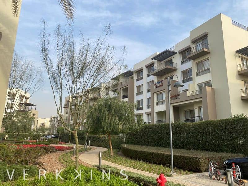 7 IMG-20230321-WA0038. jpg