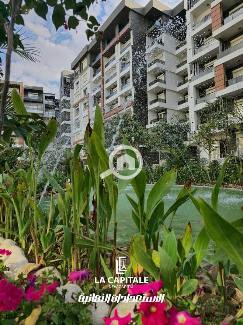 8 60a8e4ad-79c7-4ecf-aab2-cb8ed9459fb4. jpg