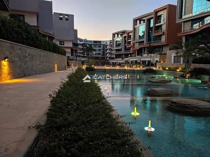 7 560094204_1330867805173815_6189405449647787256_n. jpg