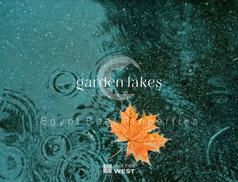 12 IMG-20240909-WA0100. jpg