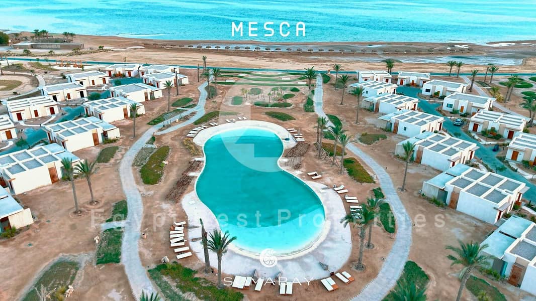 4 IMG-20260119-WA0051. jpg