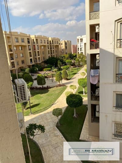 3 Bedroom Flat for Rent in New Cairo, Cairo - WhatsApp Image 2026-01-27 at 1.50. 26 PM (1). jpeg