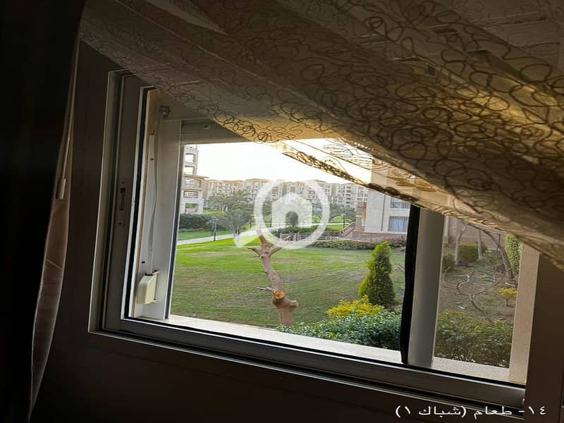 3 7b58279e-192e-413b-817e-f95eb3e598cb. jpeg