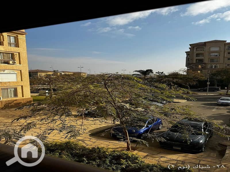 11 97e6cc28-faa3-45f0-9daf-ebfe496a146e. jpeg