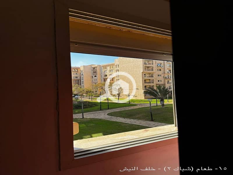 18 9926b2d0-6c77-41c4-818b-b72d031bbba3. jpeg